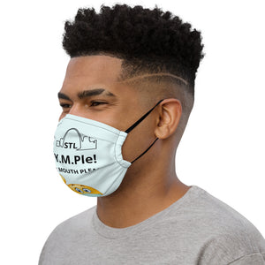 Premium face mask-Pale Blue