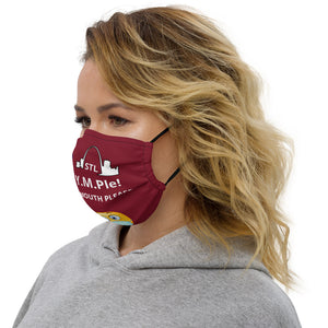 Premium face mask-Burgundy